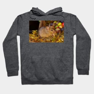 Wild  cute garden house  mouse Hoodie